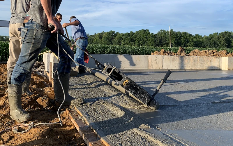 eel screed